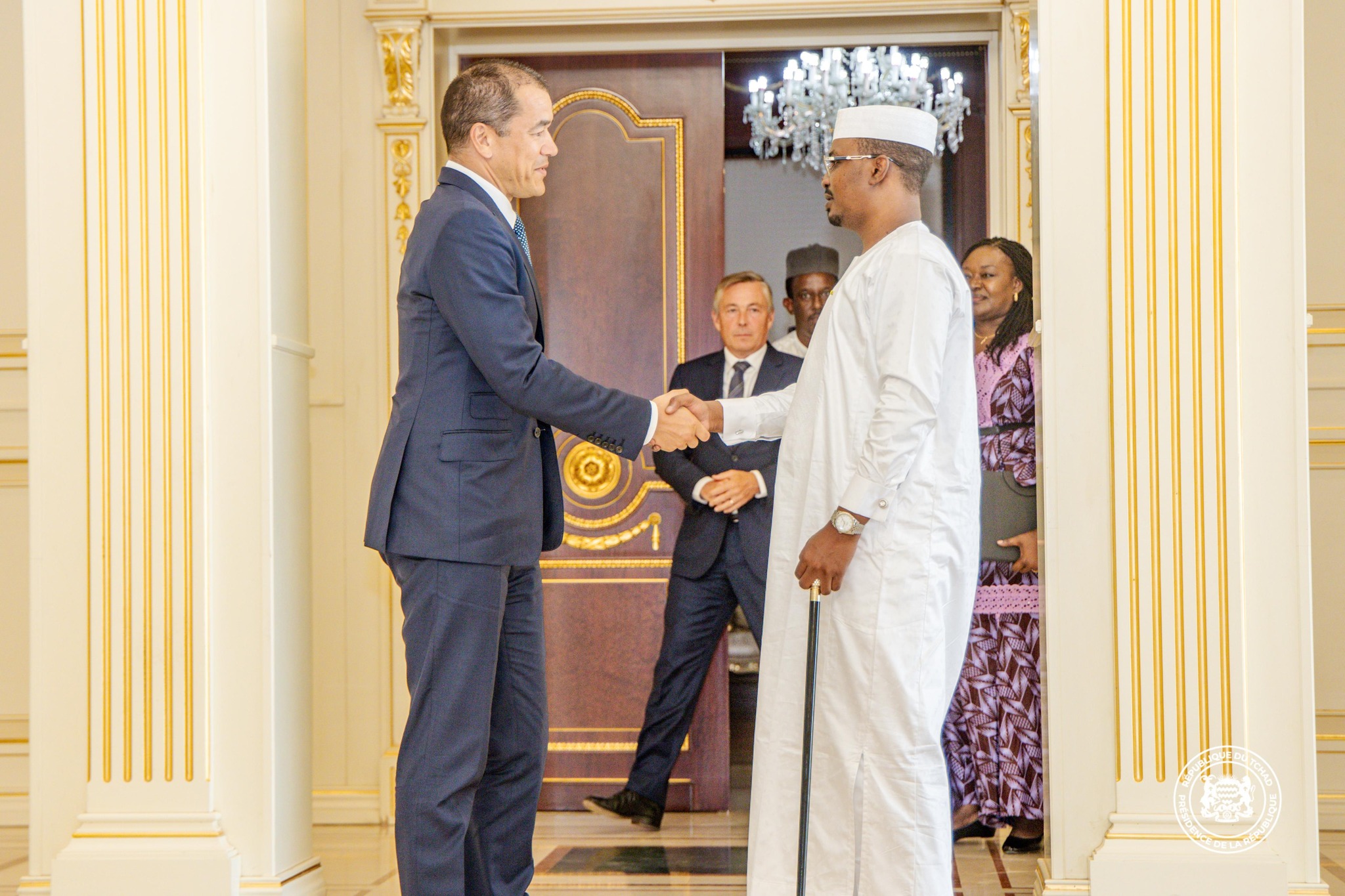 Énergie au Tchad : le Président instruit Perenco d’accélérer la production nationale